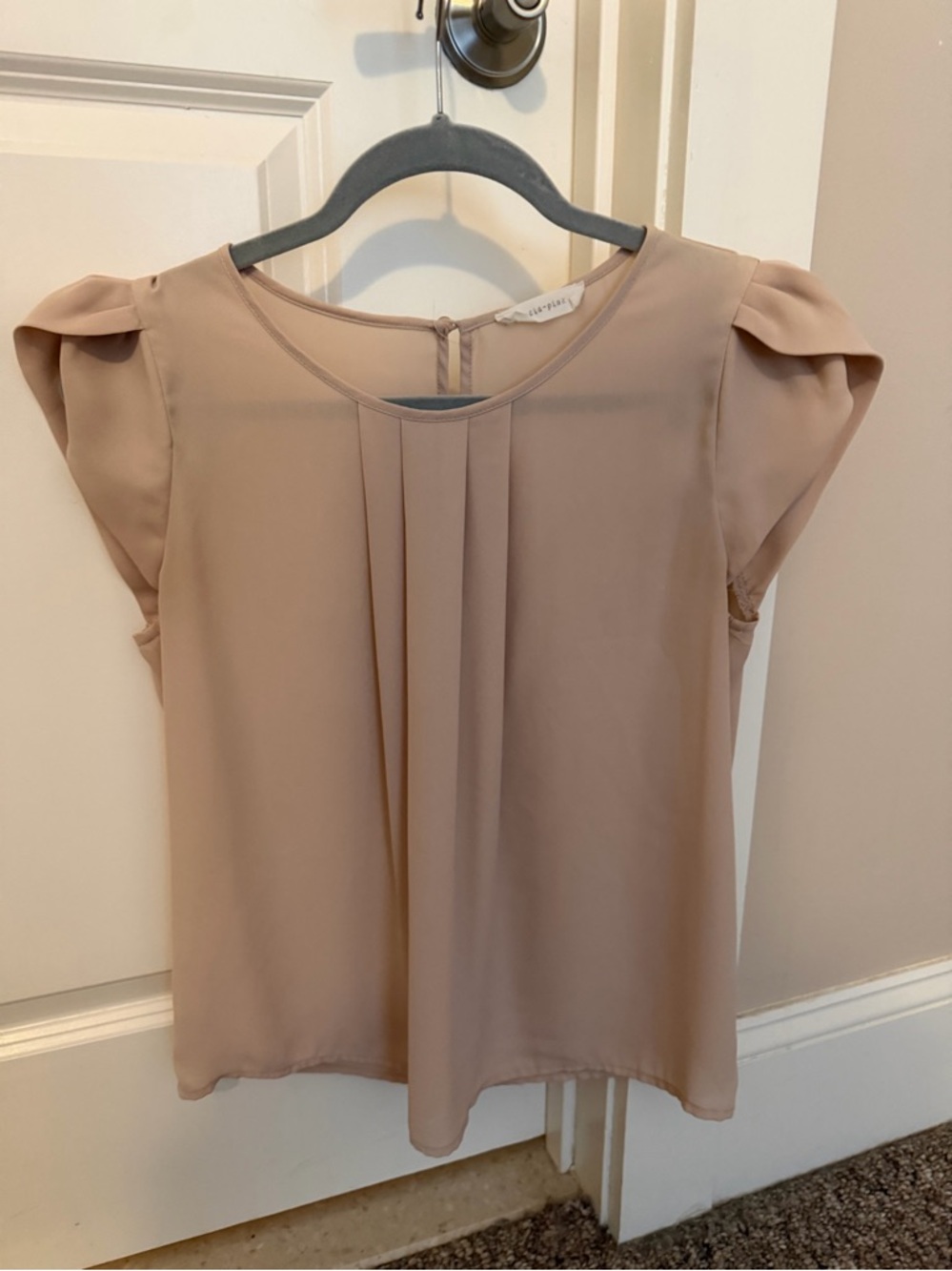 Source Unknown Blush Cap-Sleeve Pleated Blouse